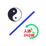 Logo of 中医经络穴位流注 android Application 